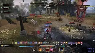 The Elder Scrolls Online  is 100% laggy unplayable unacceptable trash performance 24/7