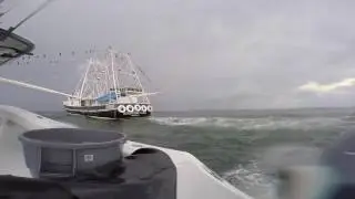 Spearfishing Yellowfin Tuna - Louisiana
