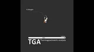 TG Analysis