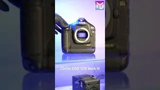 #shorts DSLR Camera Burst test, sigma fp, Sony a7 IV, A9 II, Canon 1DS III, 5D Mark IV, Nikon D5