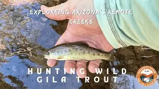 Arizona Wild Trout Challenge : Gila Trout