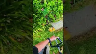 Pellenc Excelion Alpha Lawn Edging with GoPro Hero9 Headmount #shorts​ #youtubeshorts