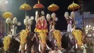 പെരുന്ന ആറാട്ട്