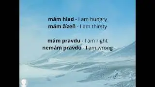 Czech language: mít - to have (present tense)