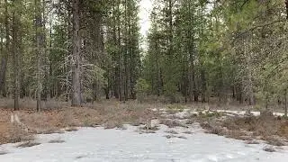 Blackrock Trail near  Bend, Oregon- March 2023