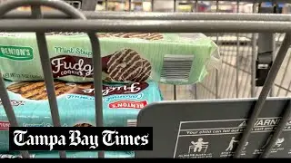 US inflation got worse in January with rising grocery and gasoline prices