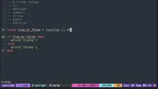 Lua Tutorial with Neovim: Truthy and Falsey values