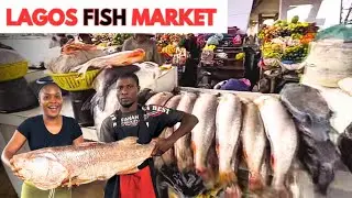Affordable Fish & Seafood Market | Current Prices in 2025