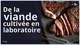 🥩 Un steak de faux-filet cultiv&eacute; en laboratoire