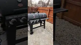 backyard is 99% except for plants #denver #shortvideo #colorado #backyard #shorts #short