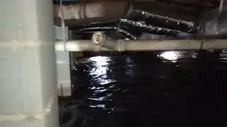 Environmental Cleaning & Restoration Solutions 6 Mil Vapor Barrier