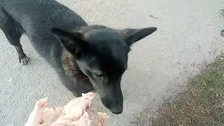 Treats for three friends!
