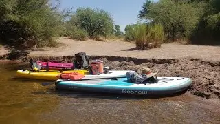 Salt River Paddleboard Run