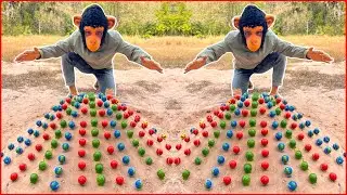 Survival Skills: SMART idea and USEFUL with Joker and King Kong Funny Video in forest #survival