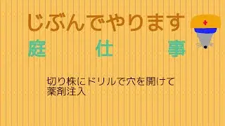 木を枯らす　きをからす
