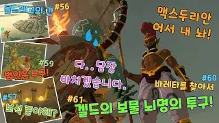 [카와사키젤다] 겔드의 보물 뇌명의 투구! & 몰드래고의 간 & 보석 좋아해? & 범인은 누구! & 바레타를 찾아서/미니챌린지 56,57,59,60,61/젤다의 전설-야생의 숨결
