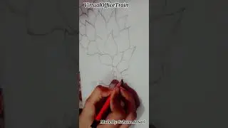 How To Draw Peacock With Pencil Tricks - #shorts