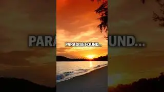 Tropical Paradise Sunset | Two Beautiful Scenes | 4 Hour Full Video 4K #sunset #tropical