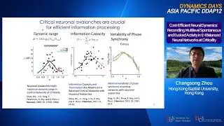 Changsong Zhou: Cost-Efficient Neural Dynamics: Reconciling Multilevel Spontaneous and Evoked