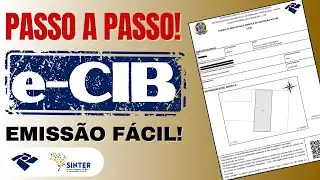 Como emitir o eCIB no SINTER: passo a passo completo do 