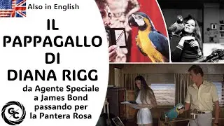 IL PAPPAGALLO DI DIANA RIGG da Agente Speciale a James Bond passando per la Pantera Rosa