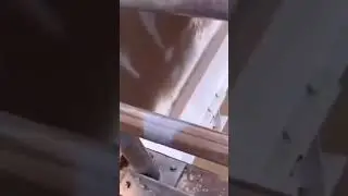 Quality fish release
