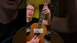 32-20 Blues PART 1 #robertjohnson #blueguitar #acousticguitar