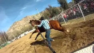 Wild horse race Team buntin first person cowboy