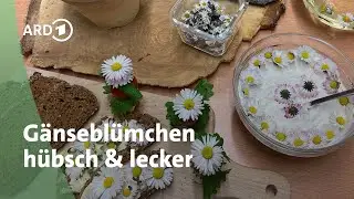 G&auml;nsebl&uuml;mchen - Wiesenblume f&uuml;r den Gaumen | MDR Garten