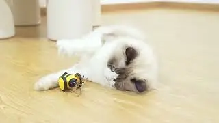Bee Cats Motorized Toys Intelligent Cats Teasing Pet Toy Stroller