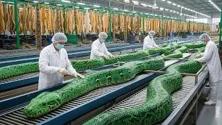 Inside the Snack Skin Factory: How Million-Dollar Bags Are Made (Full Process)