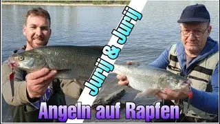 Jurij und Jurij angeln auf Rapfen am Rhein!