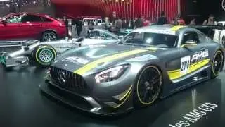 Japan. Tokyo Motors show  2015 Bridgestone