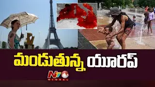 European heatwave caused 2,300 deaths in 10 days | NTV Global