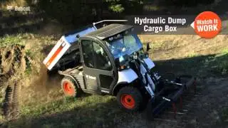 Watch It Work: 5600 Toolcat Utility Work Machine