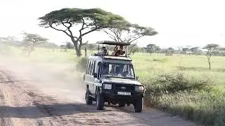 Planning Your Private Tanzania Game Drive Safari Holiday