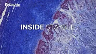 Inside Stayble: February 2021