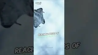 Flying Squirrel: Nature's Gliding Acrobat | Desert Fox #shorts