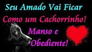 ORAÇÃO PARA ELE FICAR MANSO E OBEDIENTE IGUAL UM CACHORRINHO