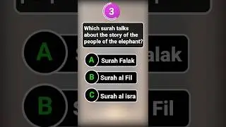 Islamic quiz questions                     Islam questions