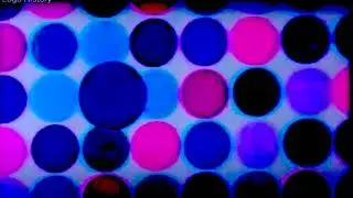 Red orange purple brown green yellow pink metallic oildgoe white black grey MTV Oy logo history 