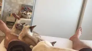 Lepohetki 😴