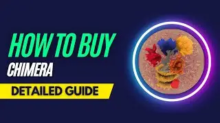 How and Where To Buy Chimera NFTs - Detailed Guide