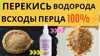 ПЕРЕКИСЬ ВОДОРОДА!! ПОСЕВ ПЕРЦА С ПЕРЕКИСЬЮ ВОДОРОДА! 100% всходы перца