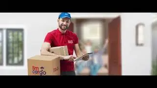 Bm Cargo Agency