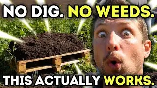 No-Dig Garden Bed Over Weeds (Pallet Collar Method That Transforms Soil FAST)