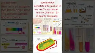 Culture sensitivity part 2 / sim medium sulphur indole motile /hydrogen biochemical test in /