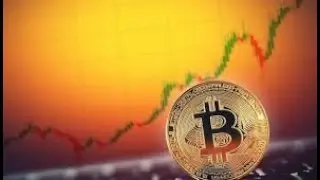 Altcoin Season! Bitcoin corrects, but altcoins soar. February 4, 2020