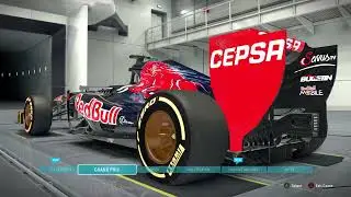 F1 2013 - 