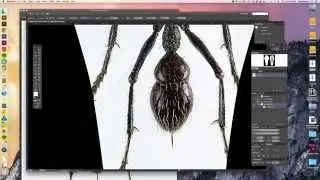 Increase Image Res with Upsampling